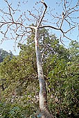 Panna National Park, Chattarpur, Madhya Pradesh